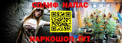скорость Дубна