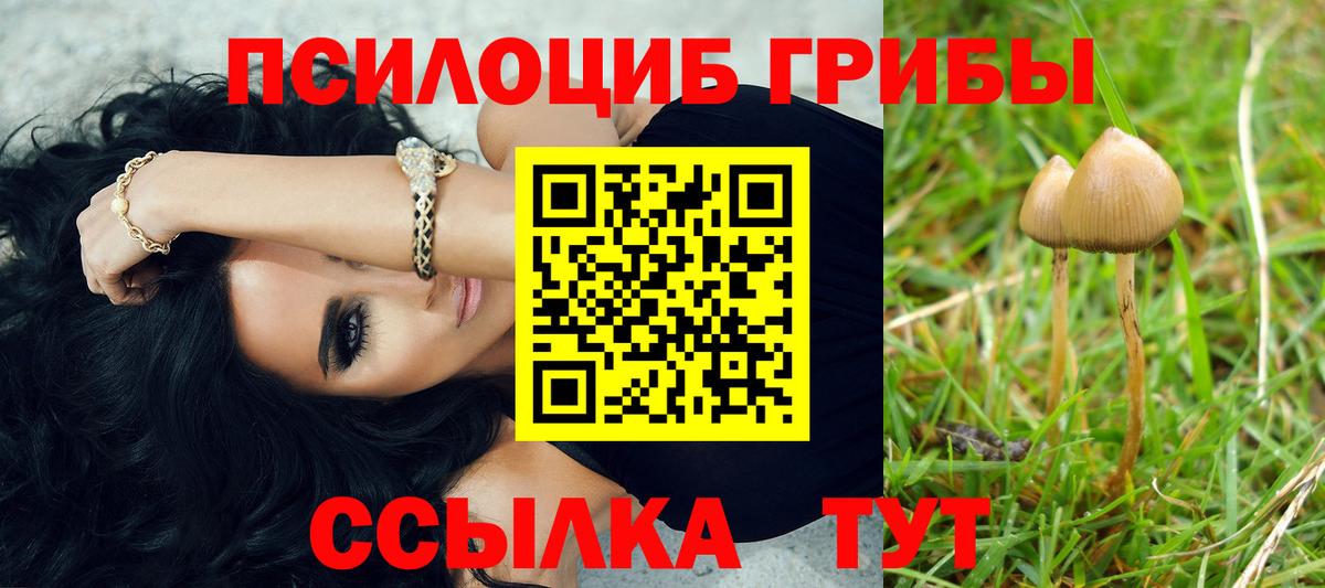 Железноводск  Псилоцибиновые грибы Psilocybine cubensis  Псилоцибиновые грибы Psilocybe  Вход с VPN 